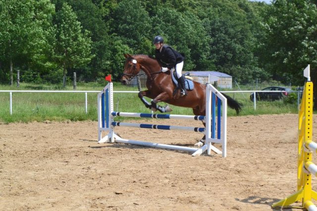 reitertag 2013 108